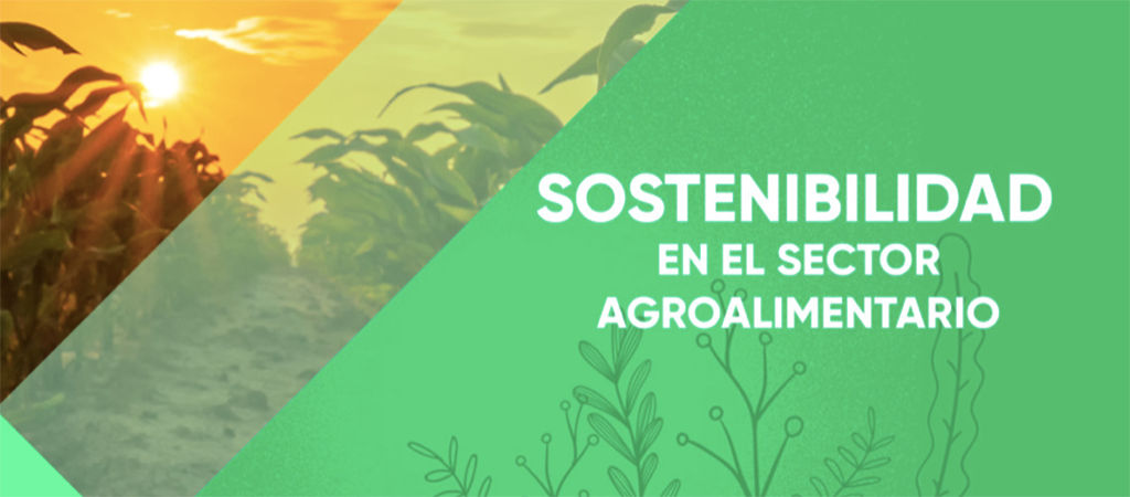 sustainability report header